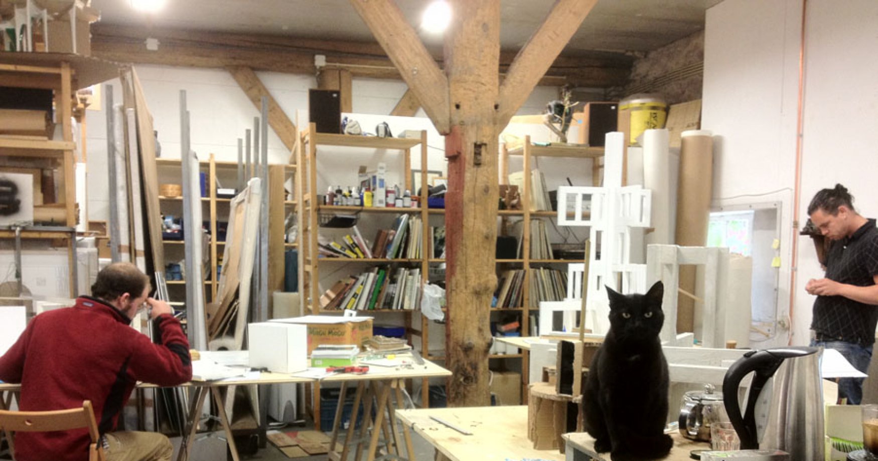 Cat-in-Studio-webJPG_1