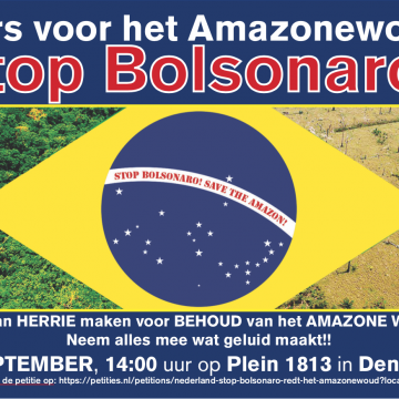 Demonstration and petition Amazon / Bolsonaro